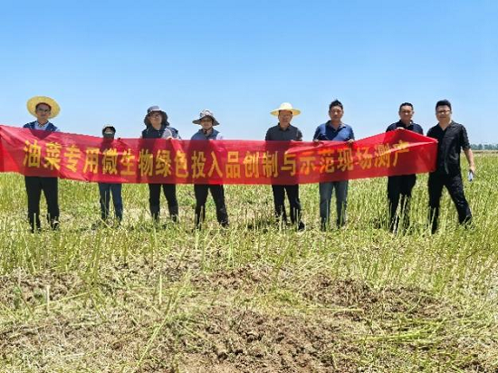 我所开发的贝莱斯芽孢杆菌KD50生物农药为我省油菜生防加上“绿色引擎”