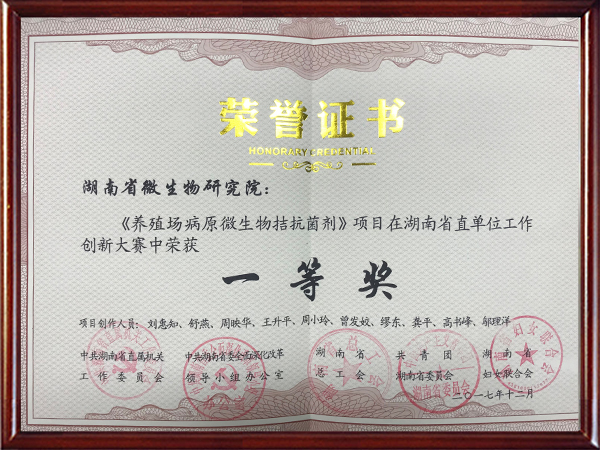 创新大赛一等奖