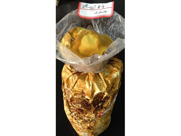 新开发的产品