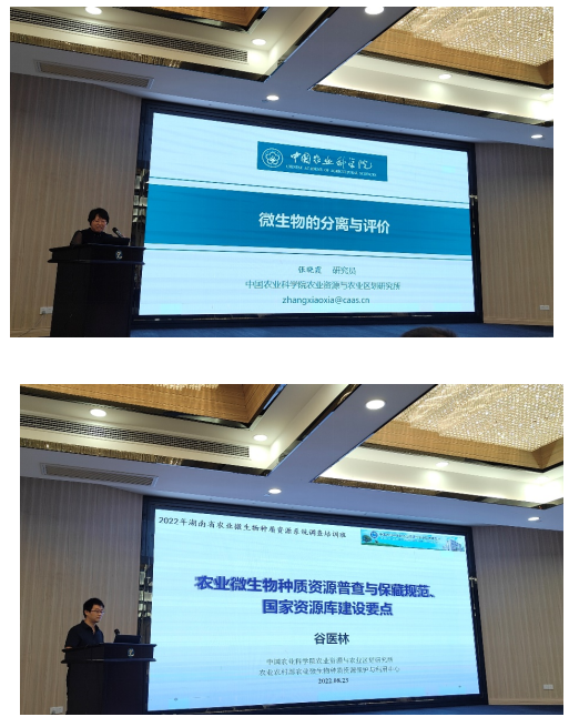 湖南省微生物研究院,湖南省微生物研究院官网 湖南省微生物研究院,湖南省微生物研究院官网